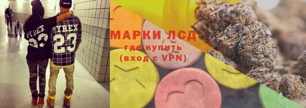 apvp Богданович